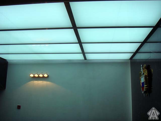 световой потолок с неоном